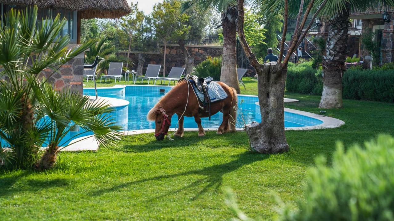 Assos Alis Farm Boutique Hotel & Spa Exteriör bild