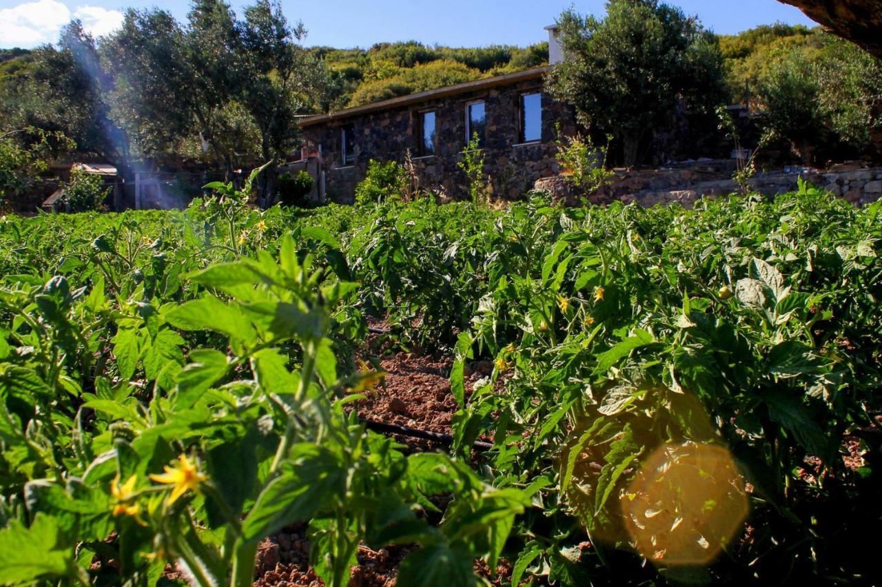 Assos Alis Farm Boutique Hotel & Spa Exteriör bild