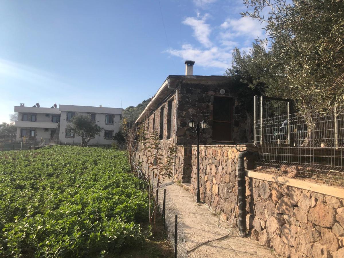Assos Alis Farm Boutique Hotel & Spa Exteriör bild